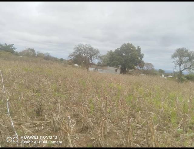 LAND FOR SALE IN MALAMULELE